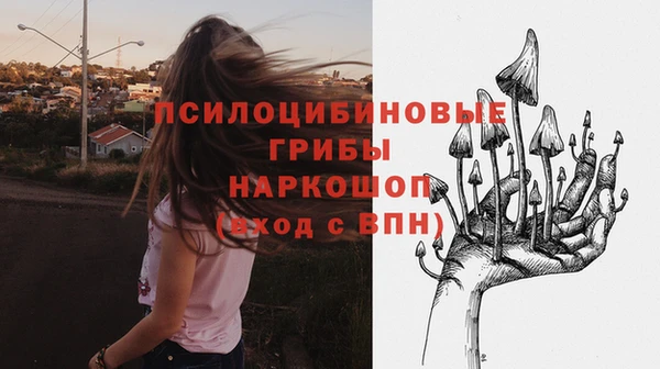 соль курить ск Пересвет