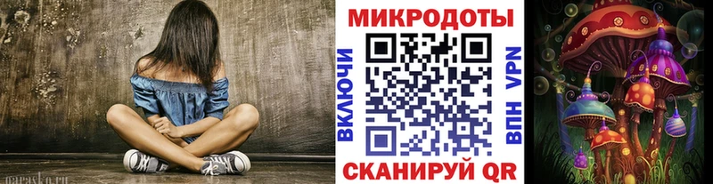 mega ONION  Тайшет  Галлюциногенные грибы Psilocybine cubensis 