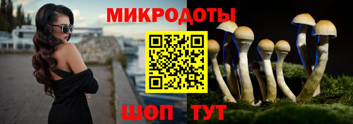 Галлюциногенные грибы Magic Shrooms  Вход с VPN  цены наркотик  Тайшет 